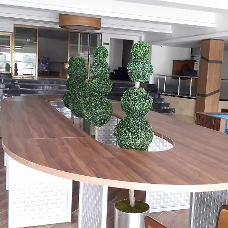 Club Delfin Отель 4*